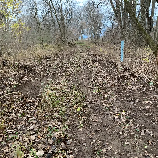 Lot Clearing Chatham Ontario